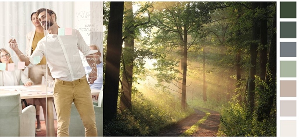 色彩與人的感受 色彩與人的感受